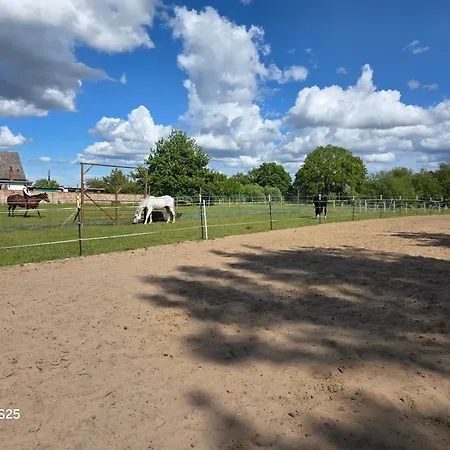 아파트 Mary S Farm Pferde Willkommen Ferdinandshof